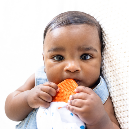 Papaya Chill Toothi Teether – Calm Teething Solution Set – Frolik+Co